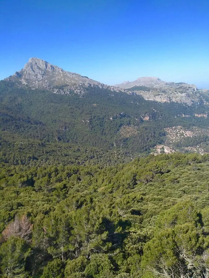 Sa Plana Petit Hotel Estellencs  Spanien