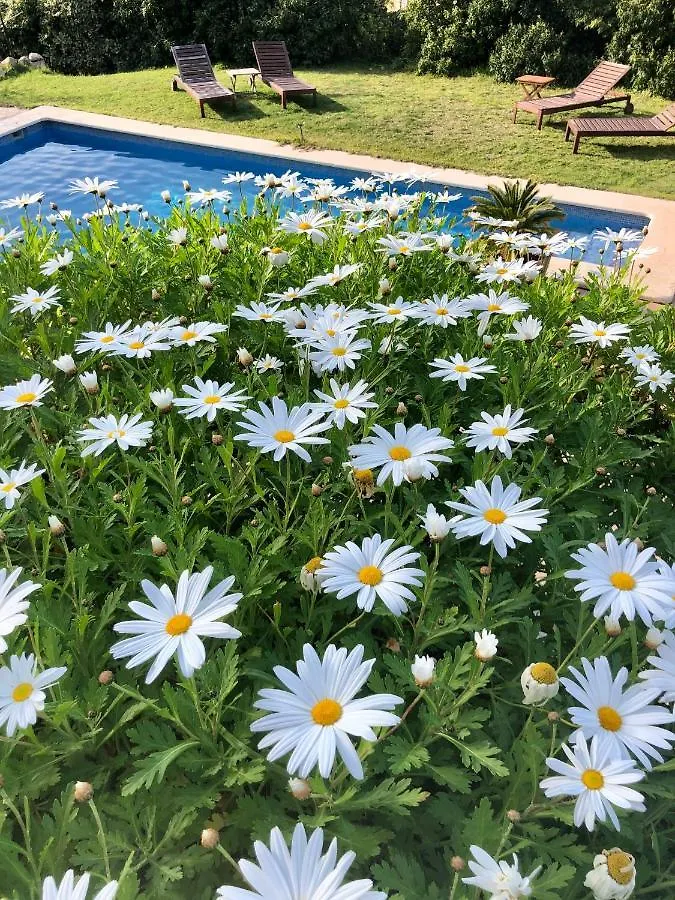 Sa Plana Petit Hotel Estellencs